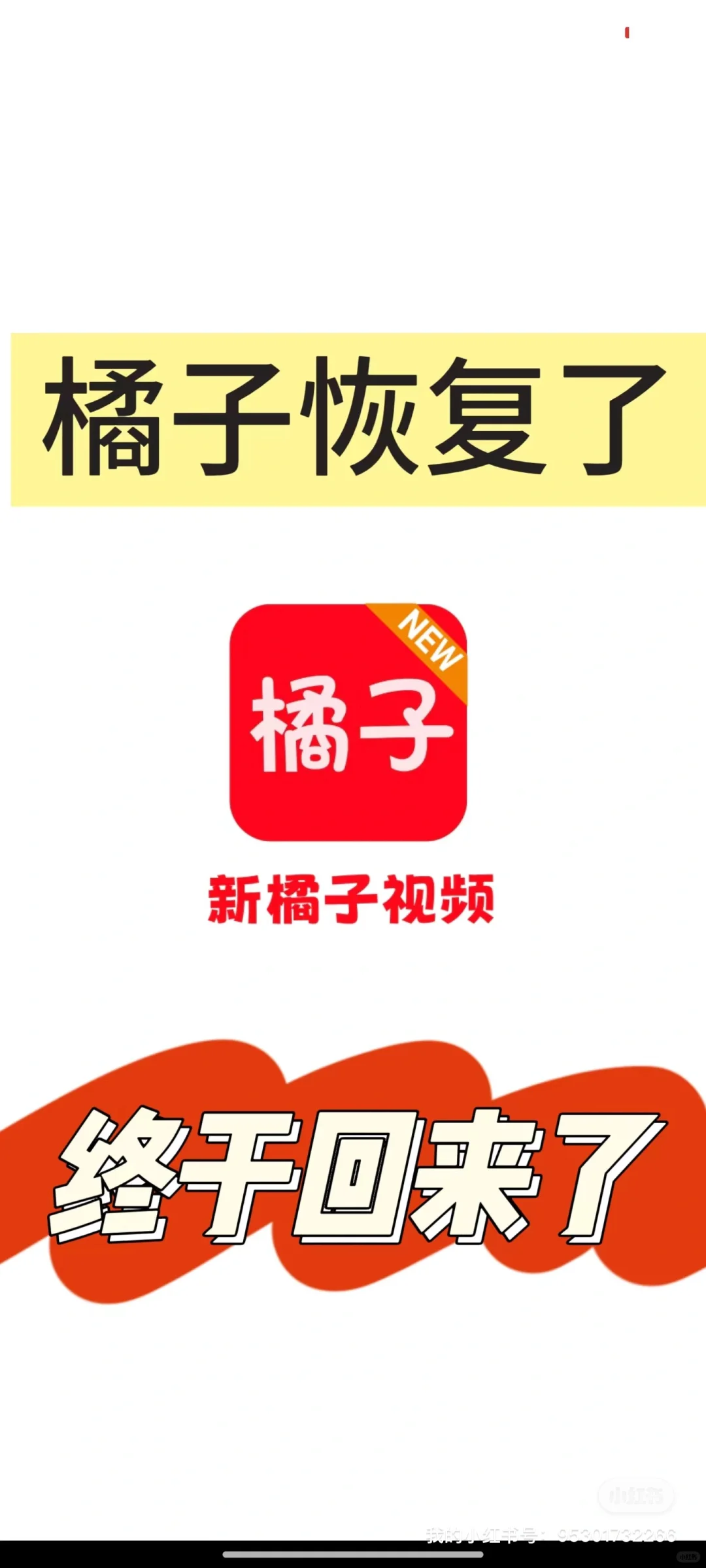 家人们，橘子又回归了，没广就是香啦🤩