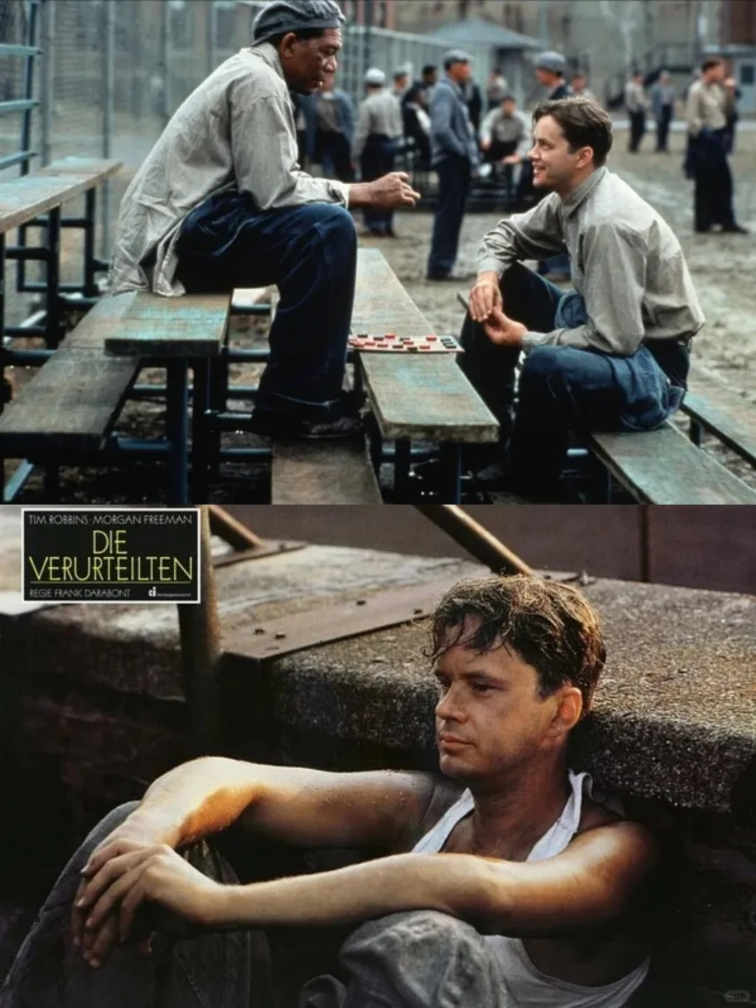 经典重温～《肖申克的救赎》！🎬