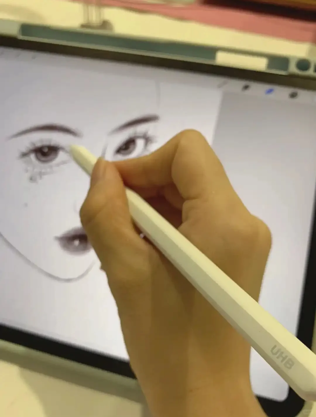 2025procreate免费版，终于上线了~