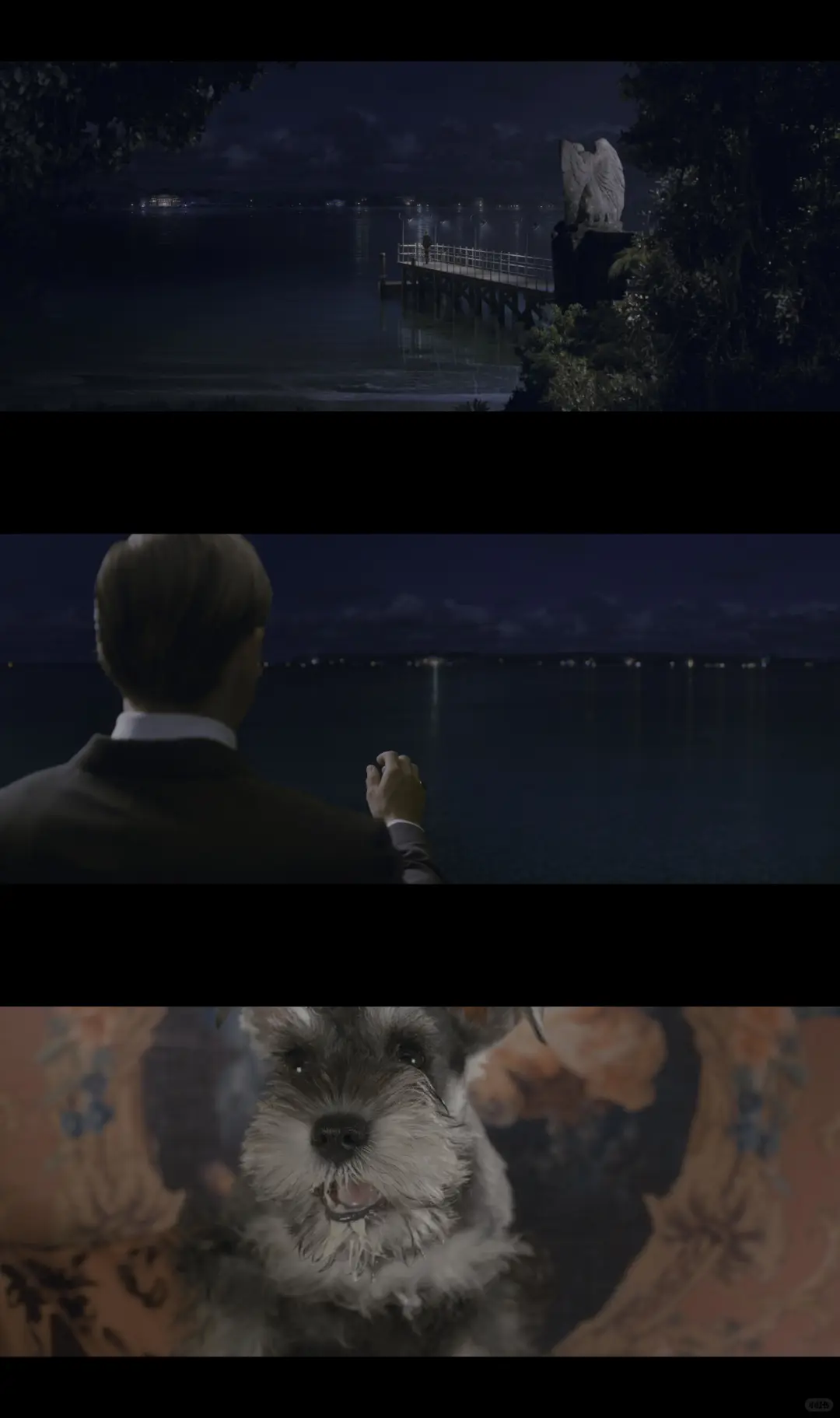 豆瓣9.0 ❗｜一口气炫完【影史改编天花板】