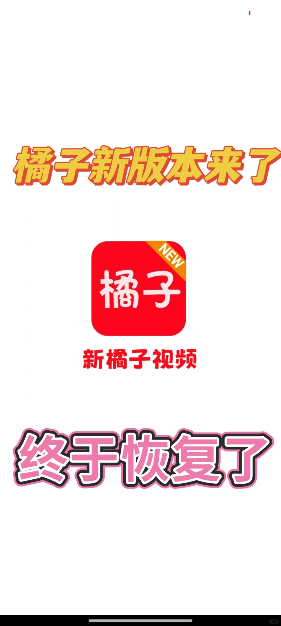 橘子恢复了，家人们，没广就是香呐☺️