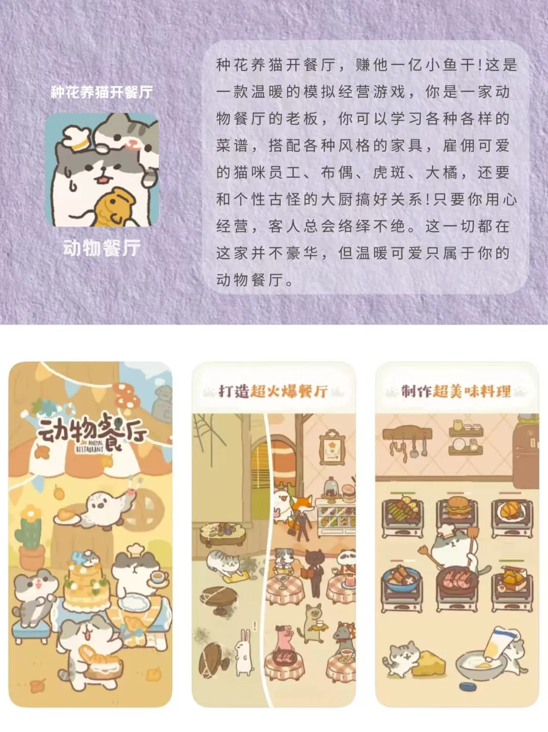 8款易焦虑人群必备小众治愈APP