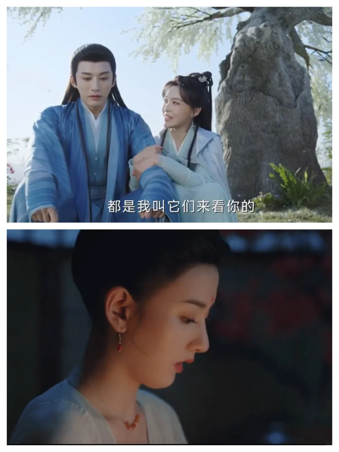 免费宝藏追剧app，真的绝绝子🐒