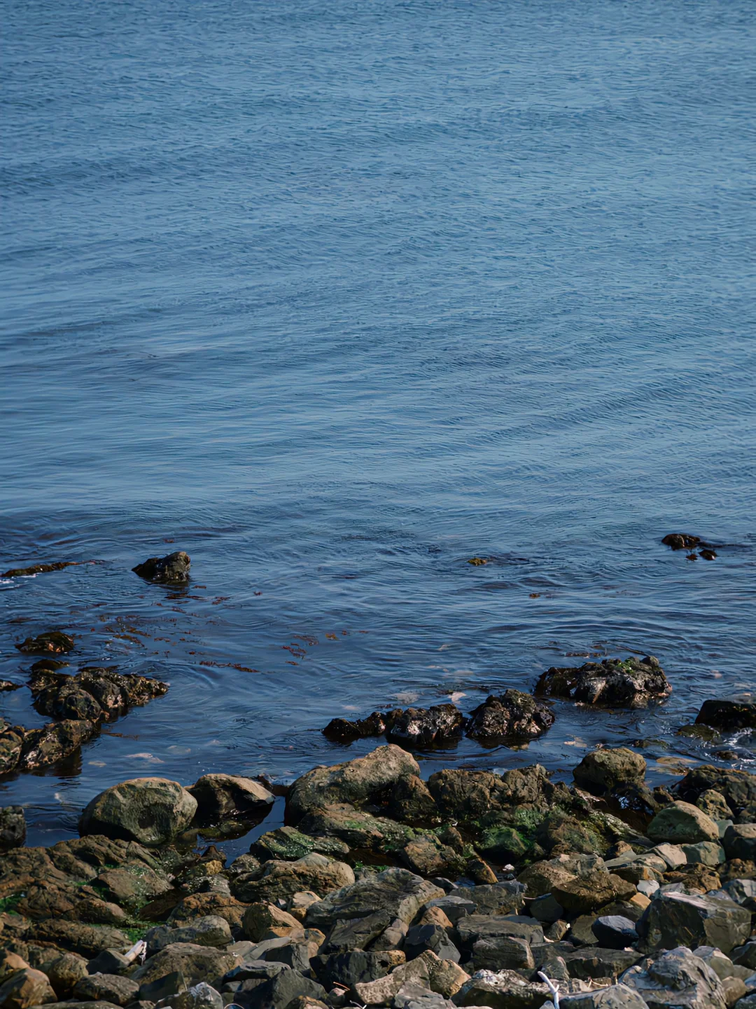 以为富士已经无敌了!!!直到用了…