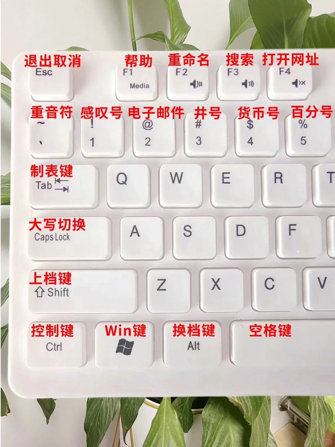 0基础学电脑，先从键盘功能开始💯