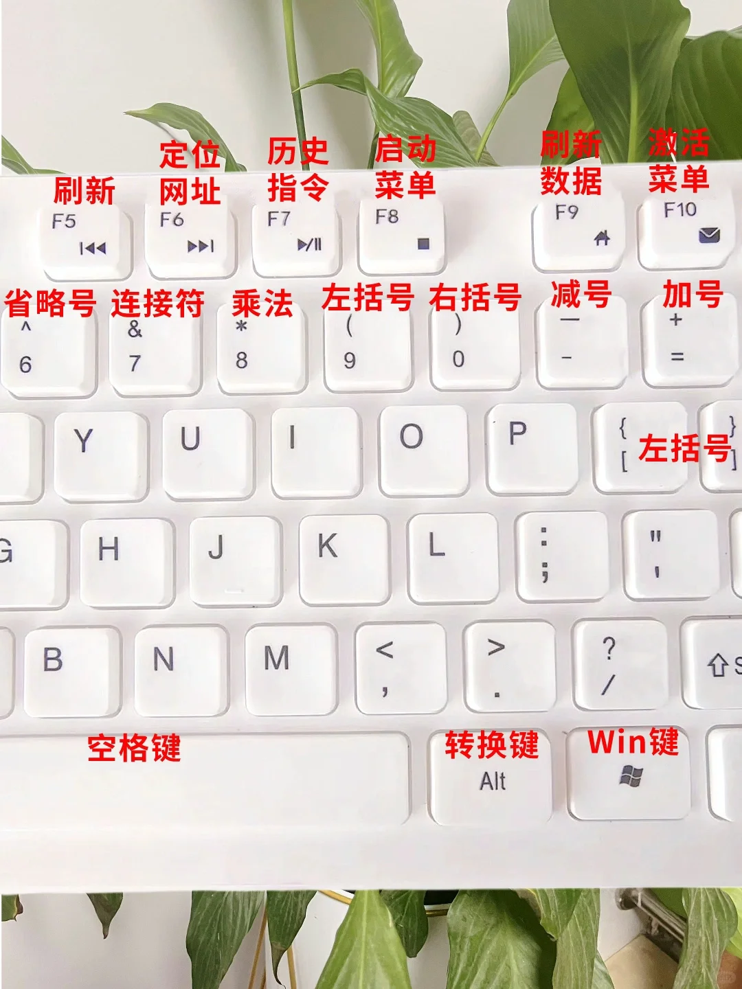 0基础学电脑，先从键盘功能开始💯