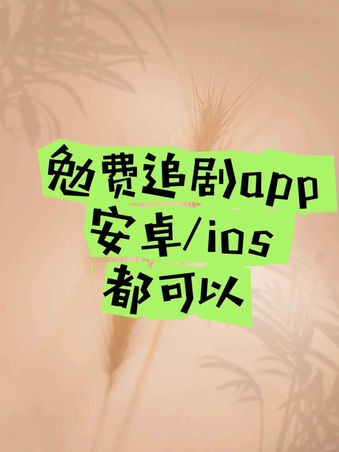 追剧必备神器推荐