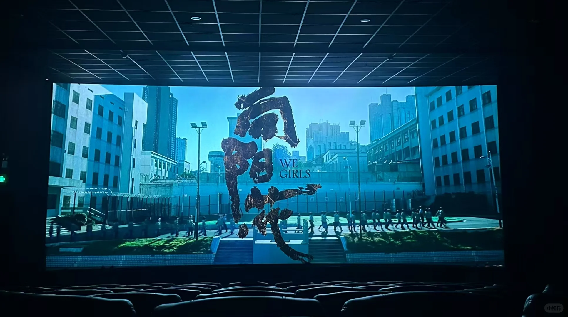 被向阳花狠狠拿捏了！后劲大到离谱😭