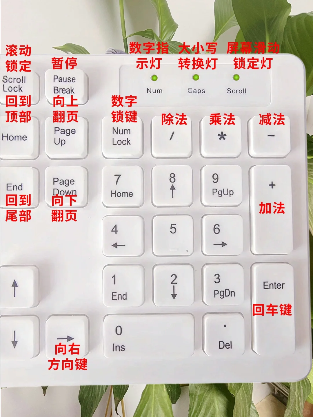 0基础学电脑，先从键盘功能开始💯