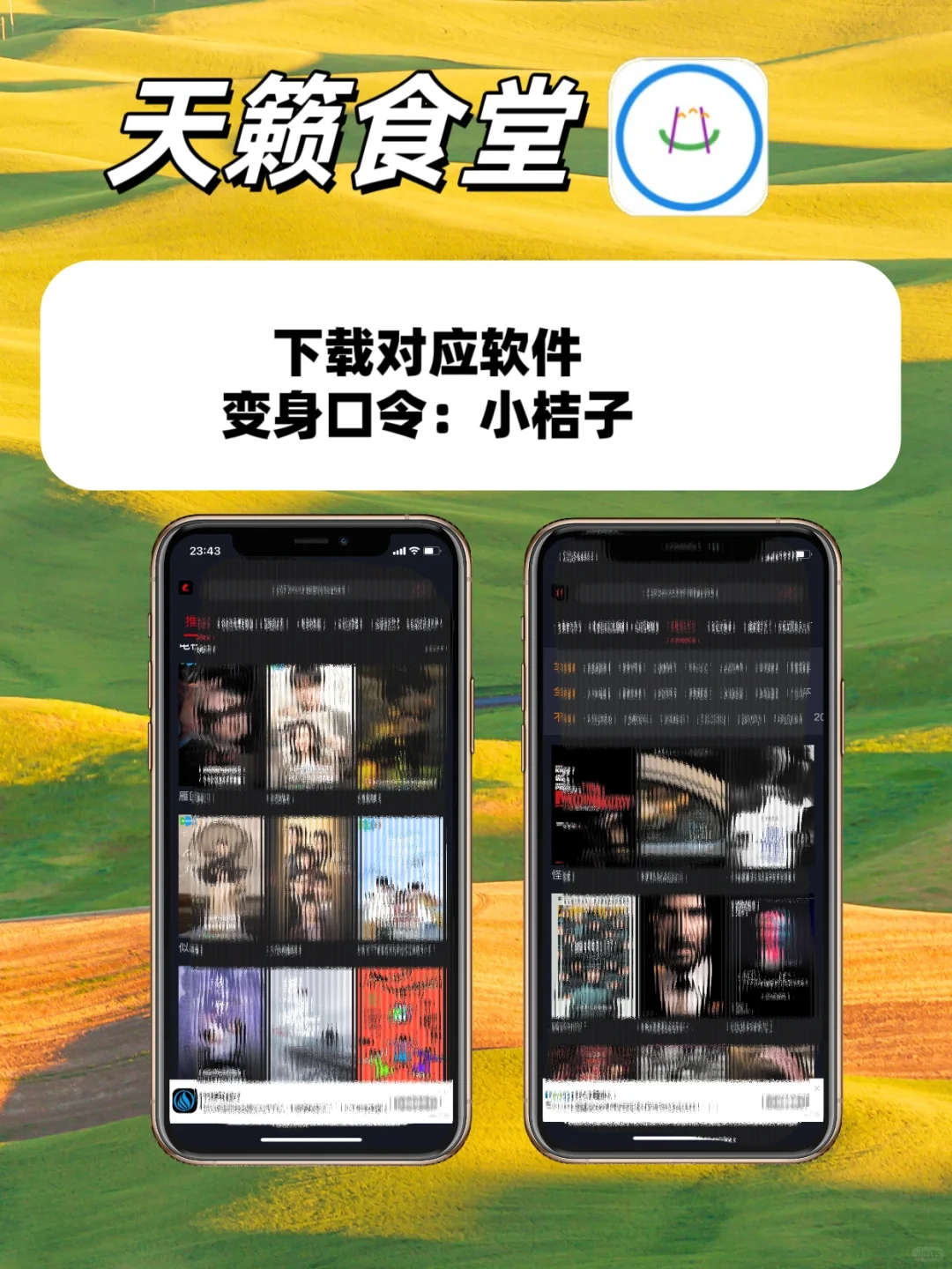 无广告的追剧神器，简直爽爆！