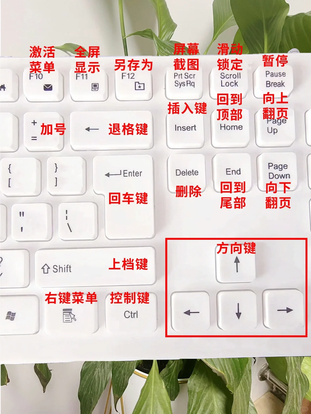 0基础学电脑，先从键盘功能开始💯