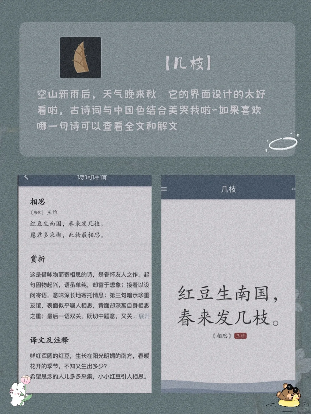 巨实用！8款00后手机必备宝藏神器APP