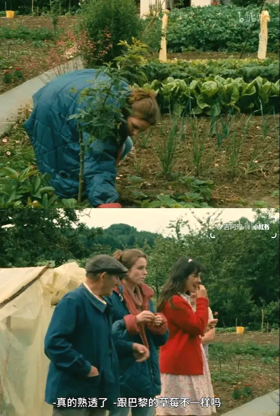 天呐😭怎么会有这么好看的电影❗❗