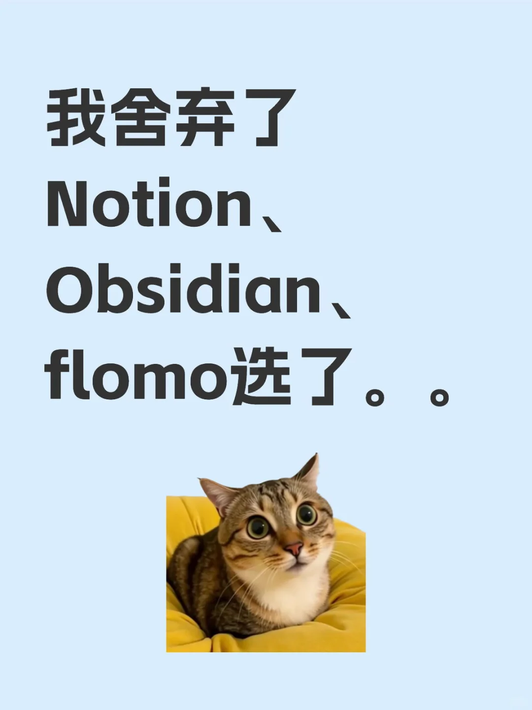 我舍弃了Notion、Obsidian、flomo选了。。