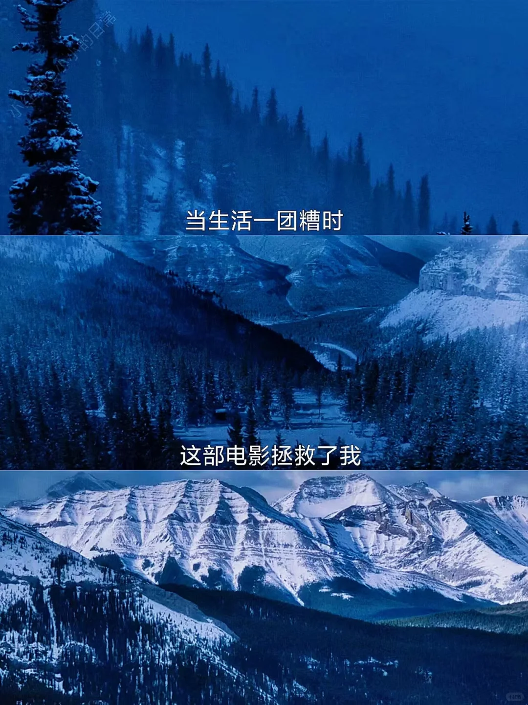 😭太治愈了，推荐所有女生都去看