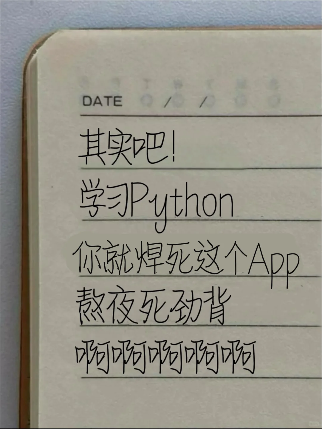 其实吧！学习python你就焊死这个App！！！