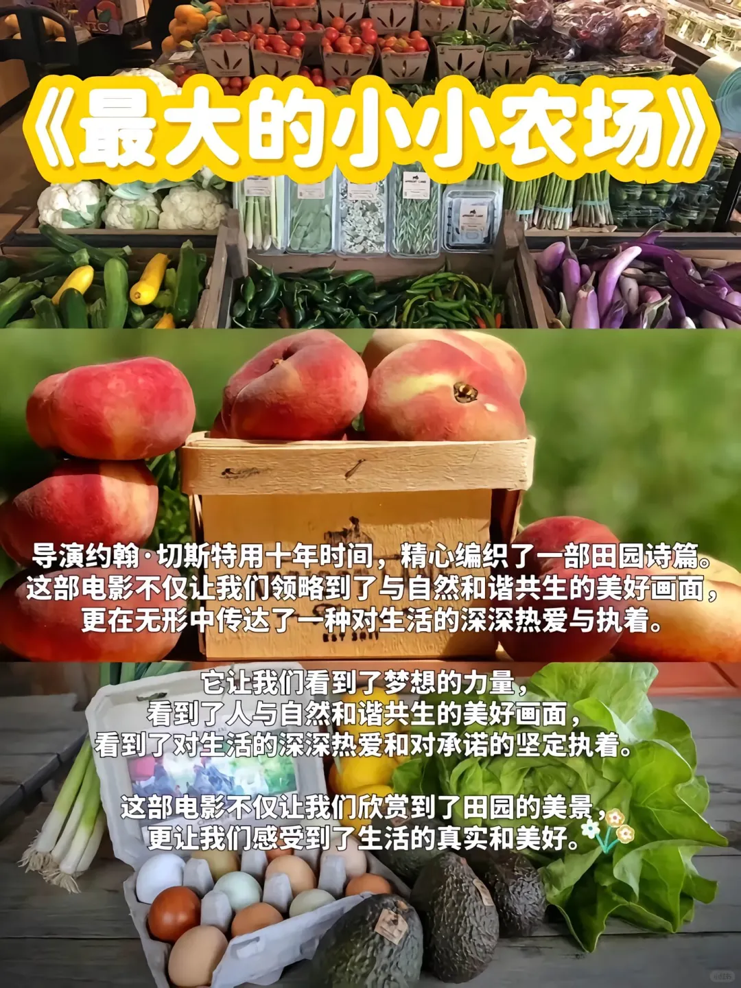 被生活压垮时，就躲进这些电影里🌌