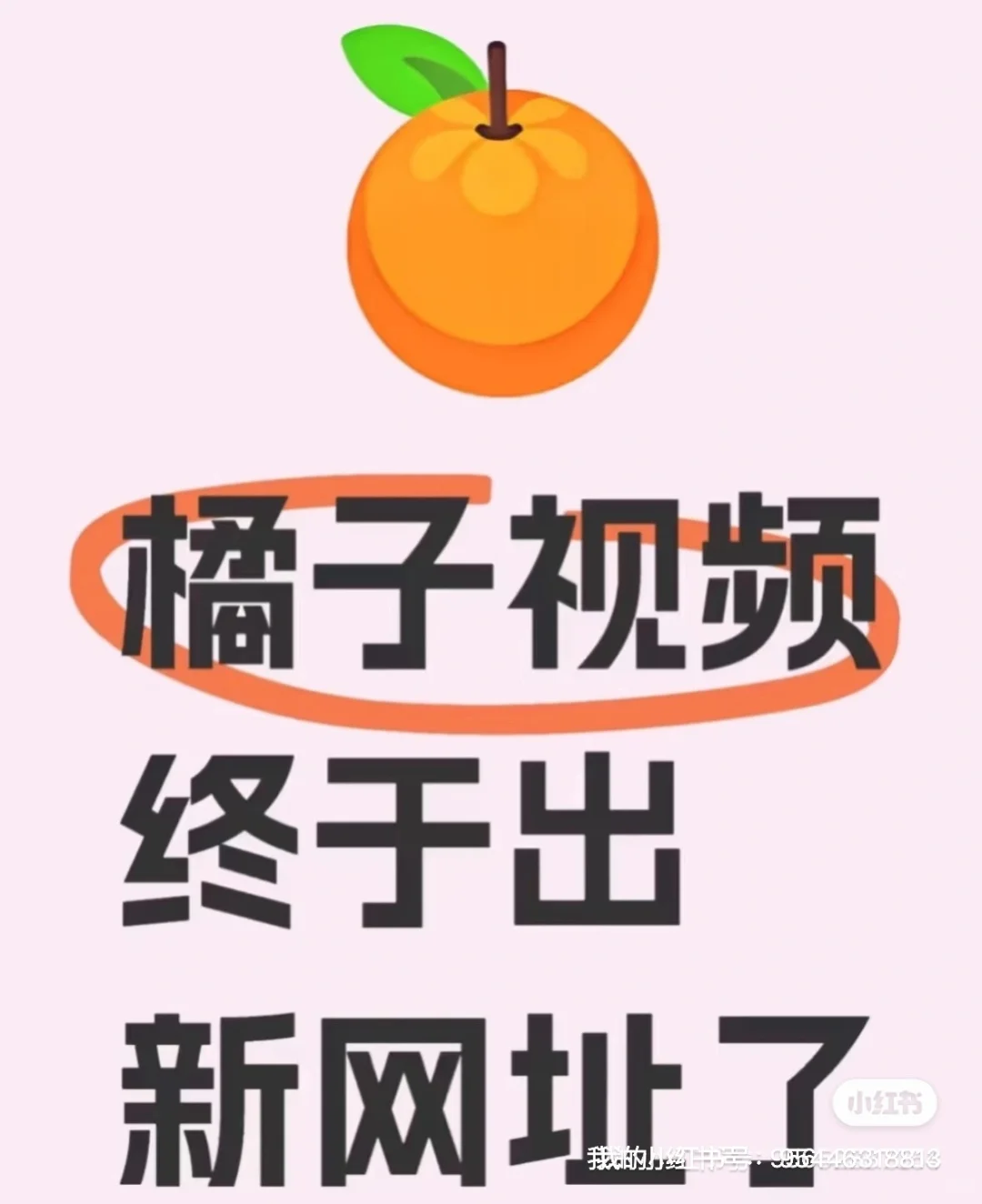 橘子终于出新网址了！