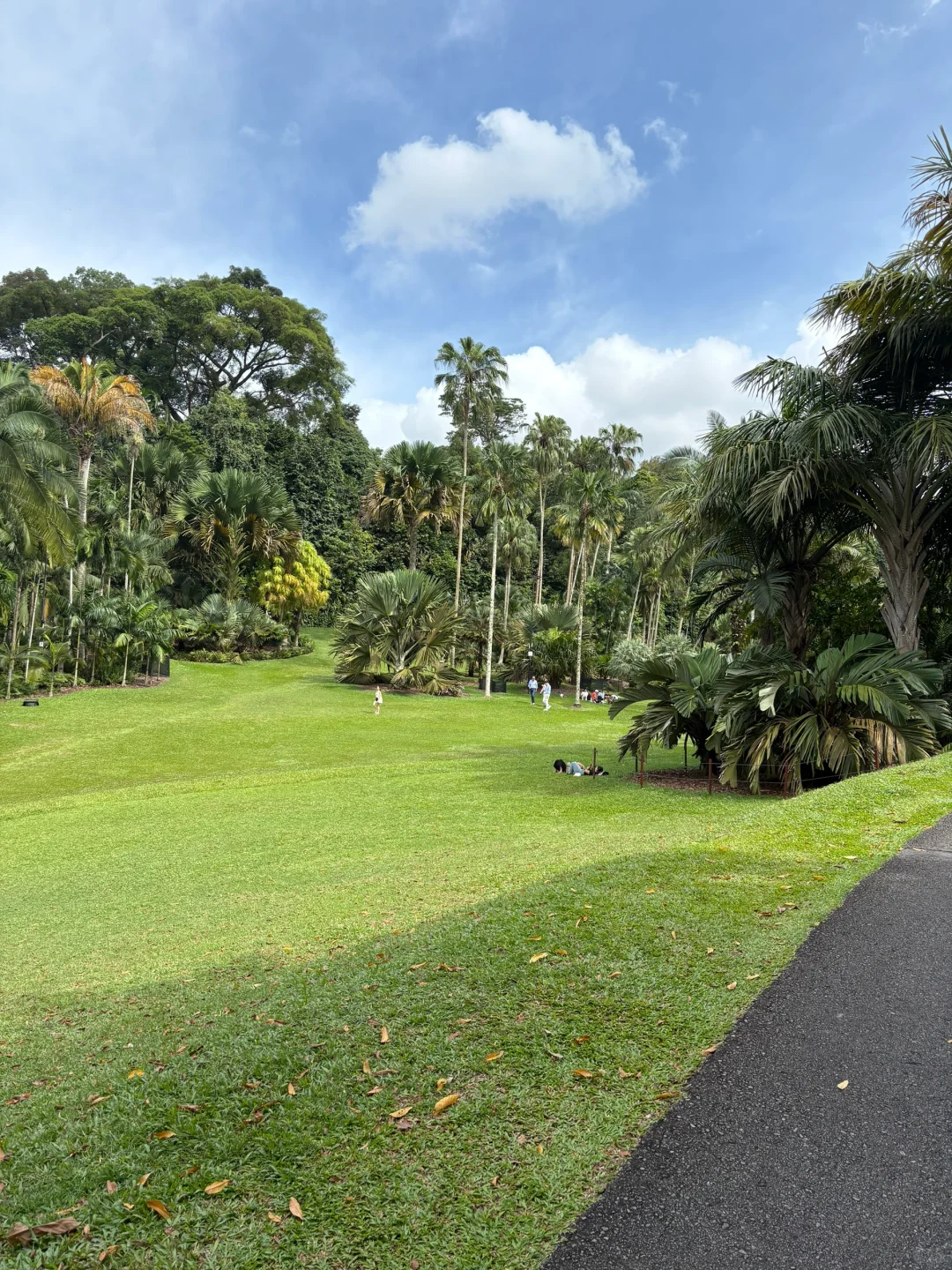 Gemini 2.5 pro是目前最厉害的软件！