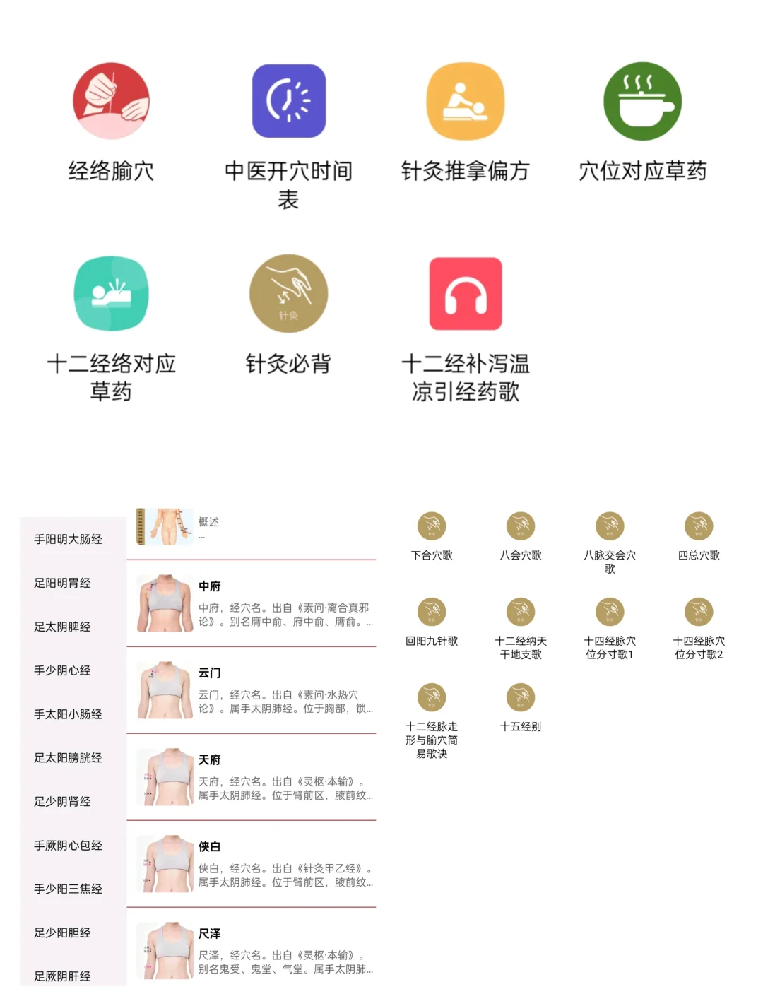 学习中医好帮手–中医百科app