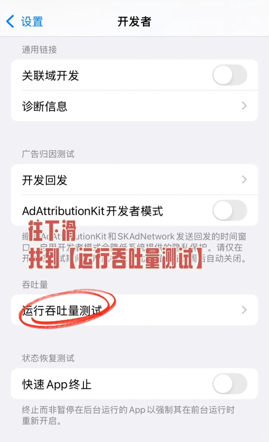 iOS 隐藏功能，自带的测速工具