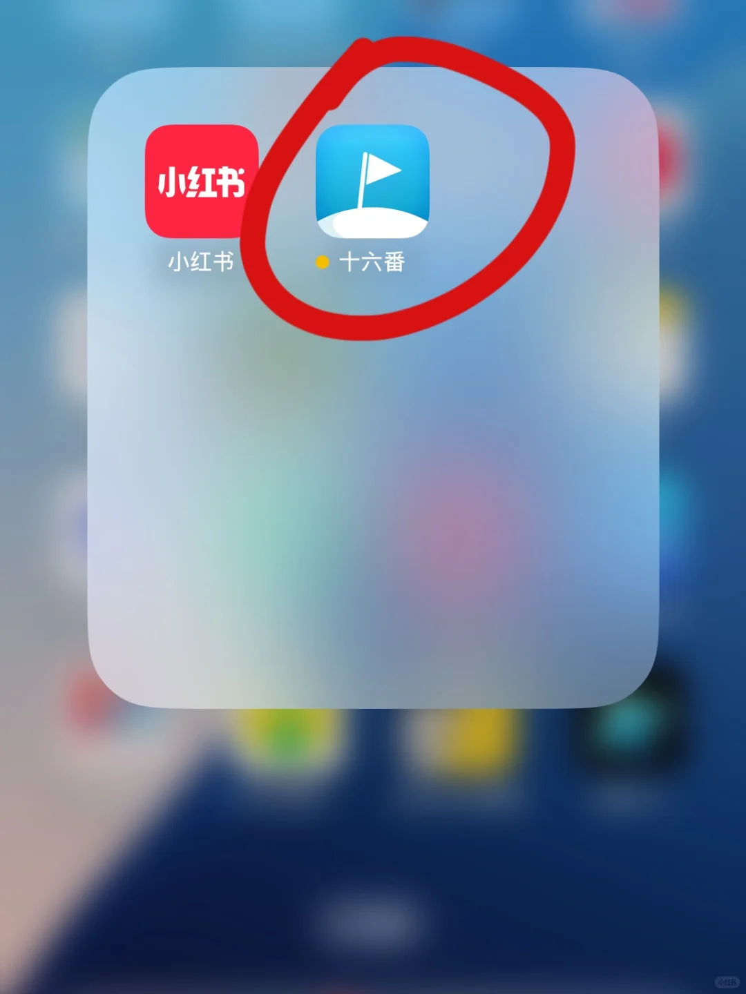 刚从日本回来，早点知道这个APP就好了