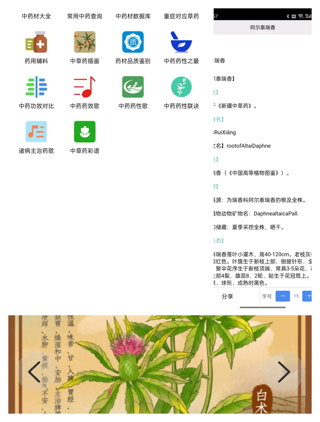 学习中医好帮手–中医百科app