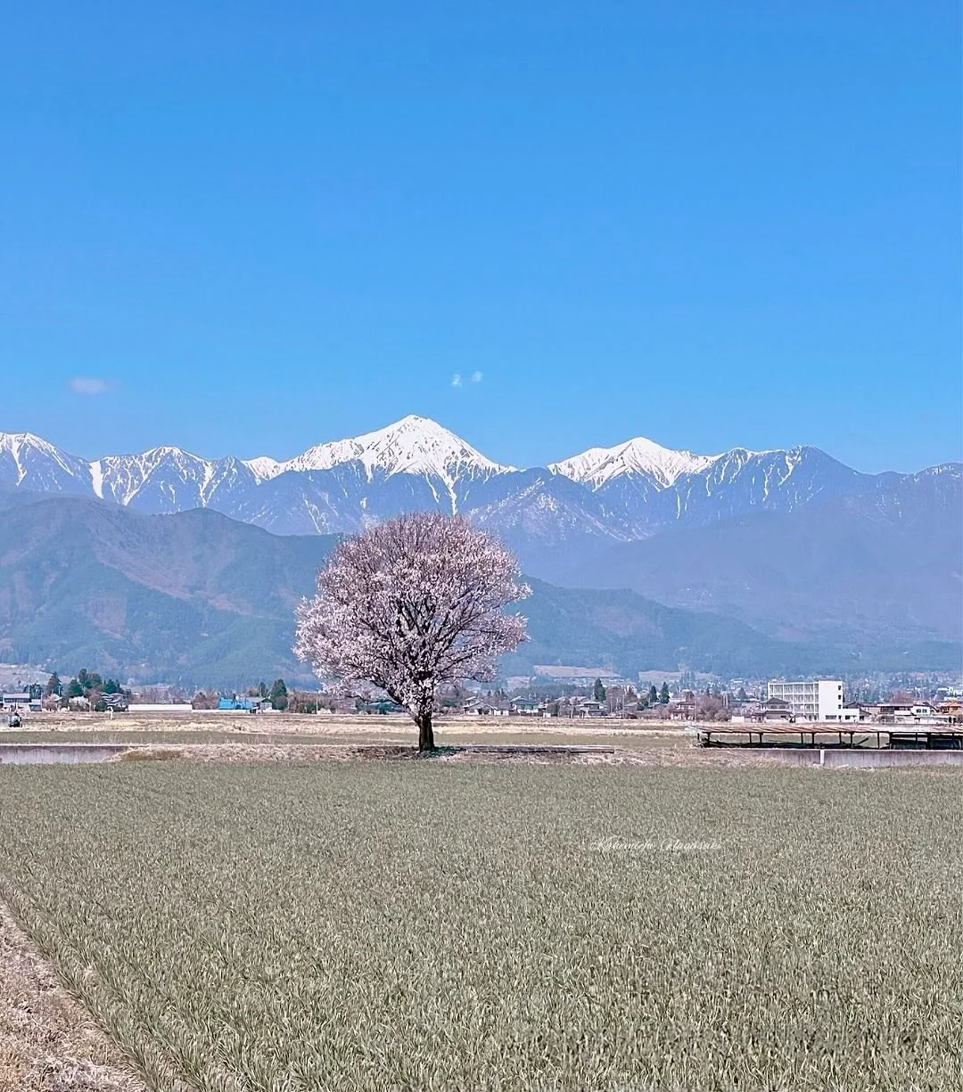 刚从日本回来，早点知道这个APP就好了