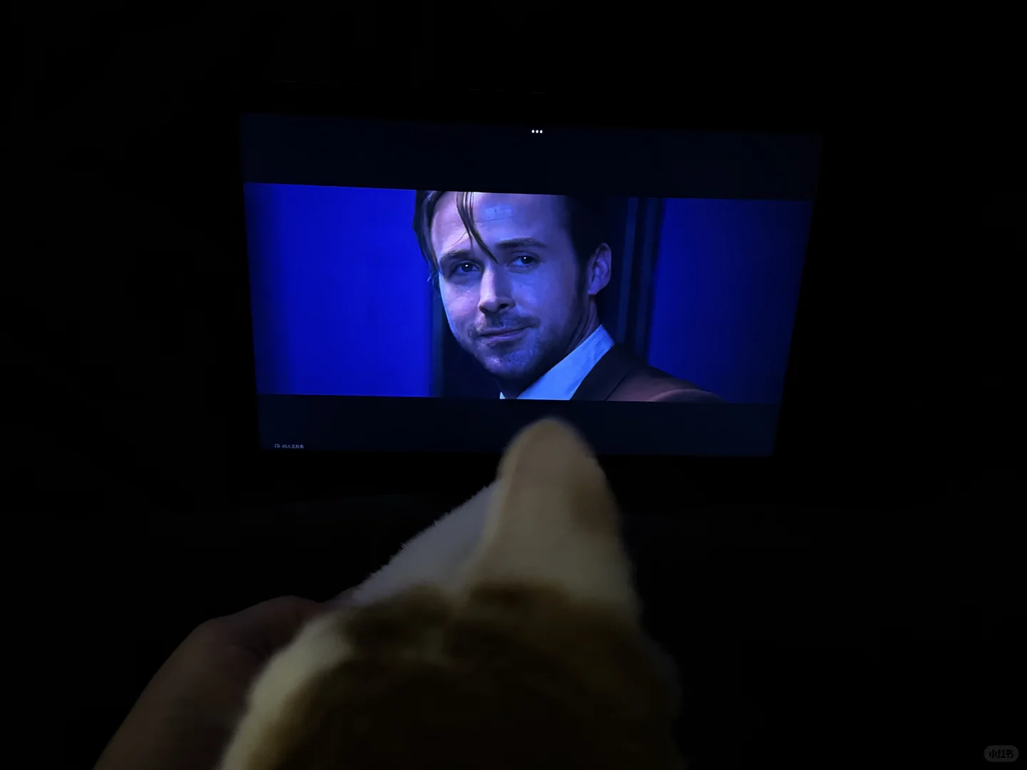 22岁和30岁看《爱乐之城》根本不是同一部电影