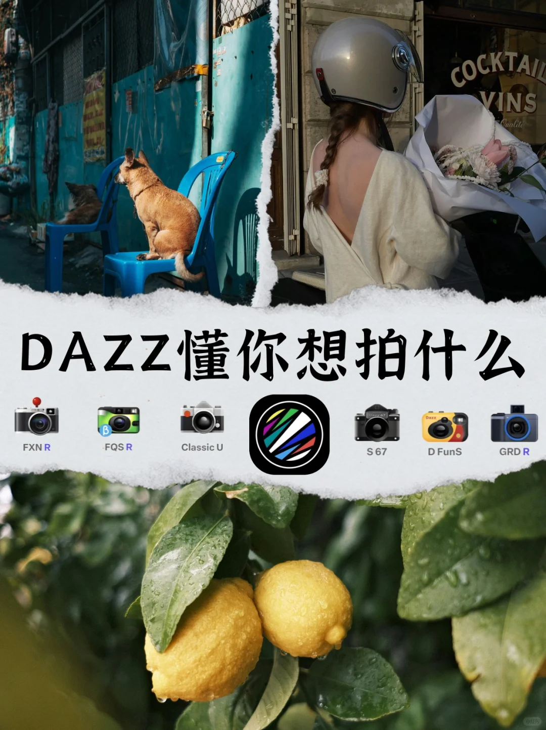 安卓党狂喜！没有Dazz也能拍出胶片感