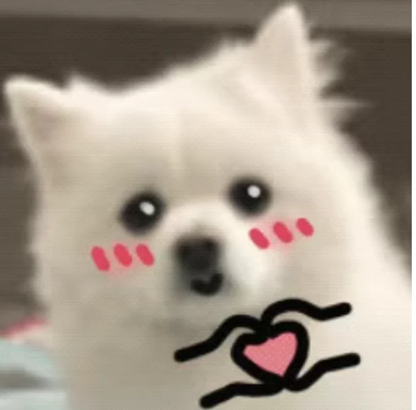 99%的女生都不知道的女生专属功能！