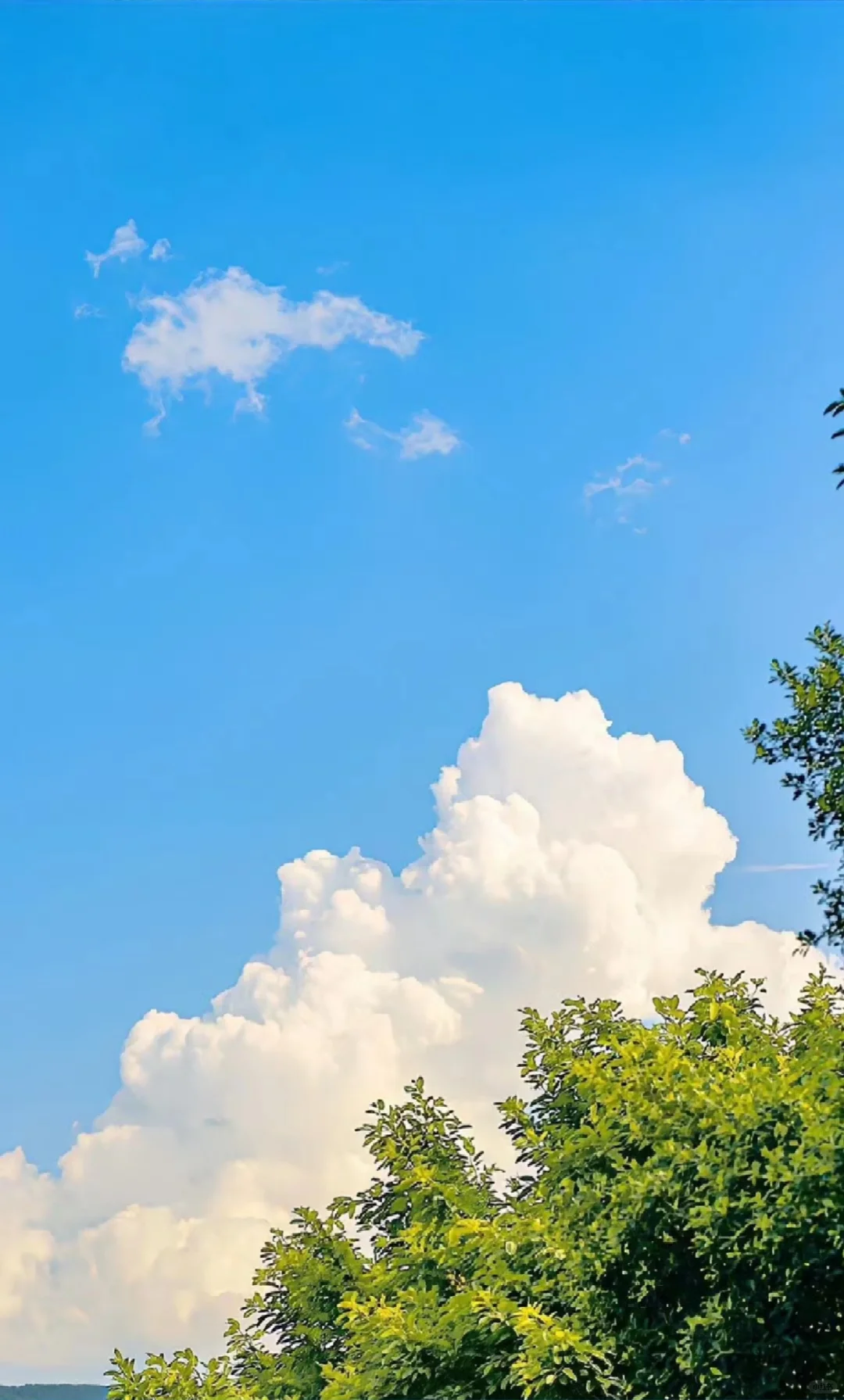 注册APP兼职，日结，诈骗