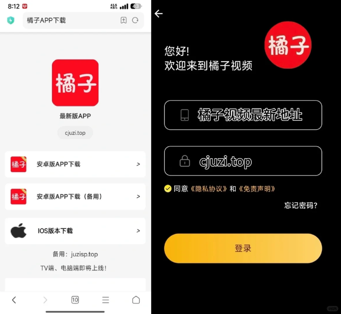 姐妹们快看，橘子视频！