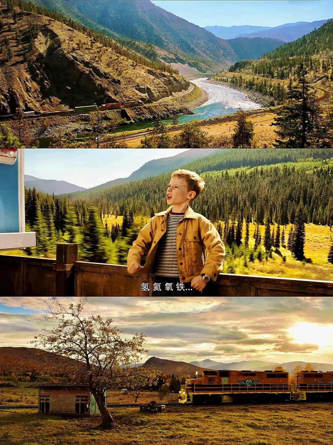 近期爆火的电影❗️强烈推荐所有人去看❗