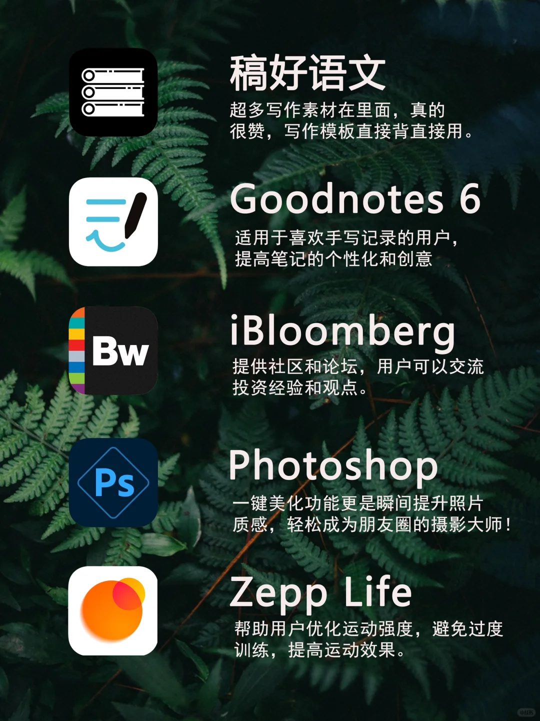 让手机变成宝藏手机