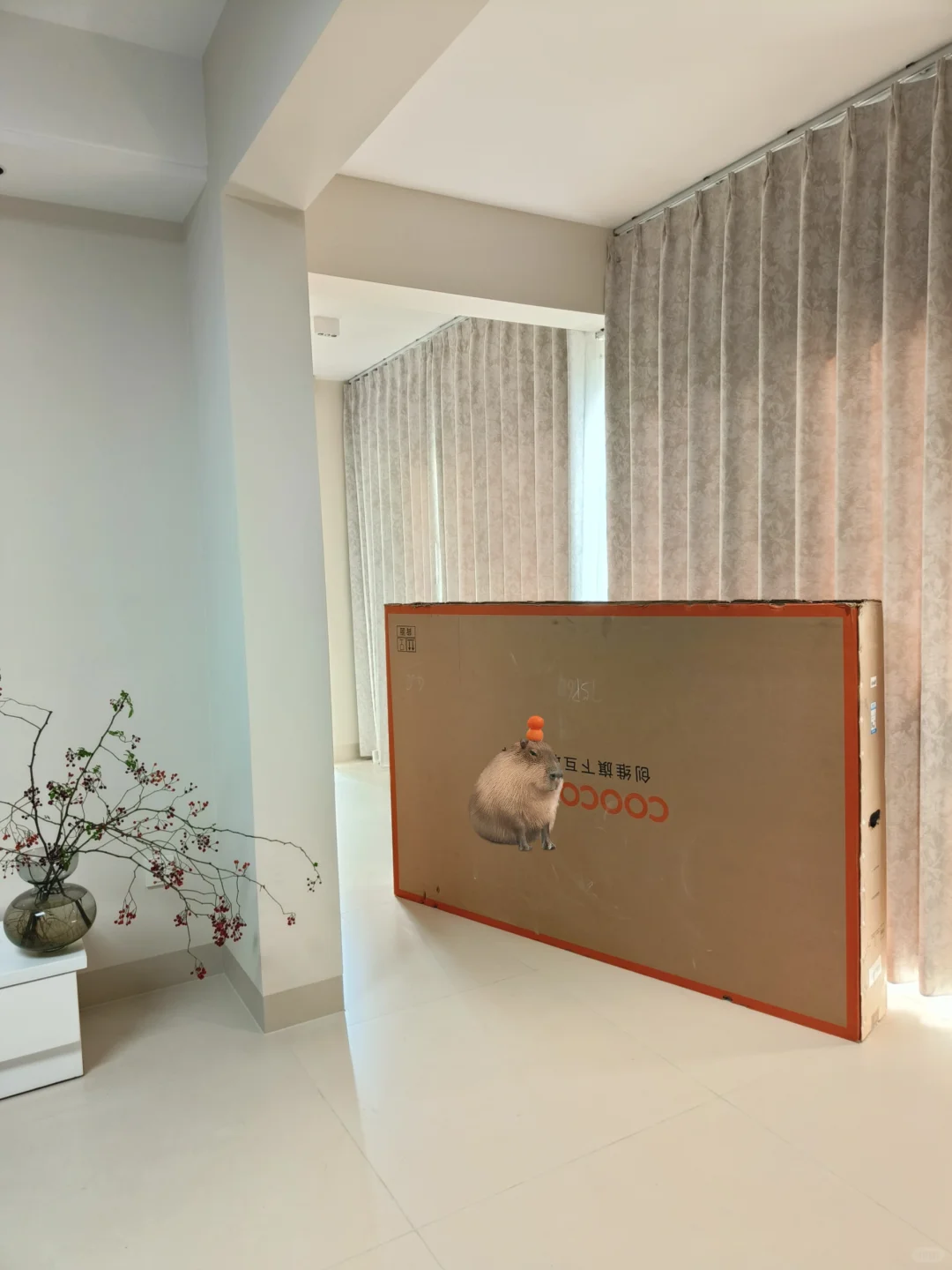 不懂就问，到底是谁在说电视这个能卖💰的