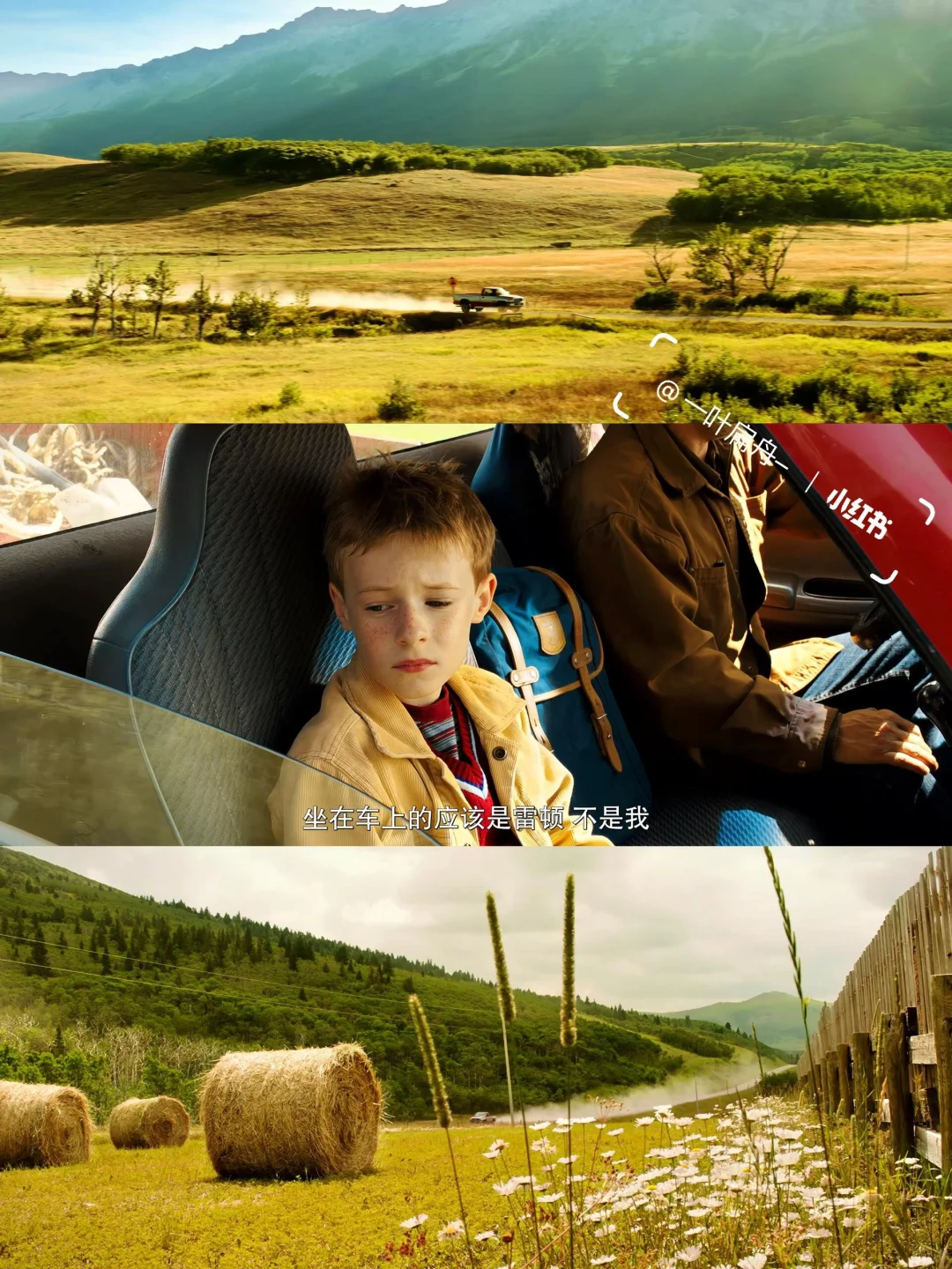 近期看过最好看的电影😭向全世界推荐！！！