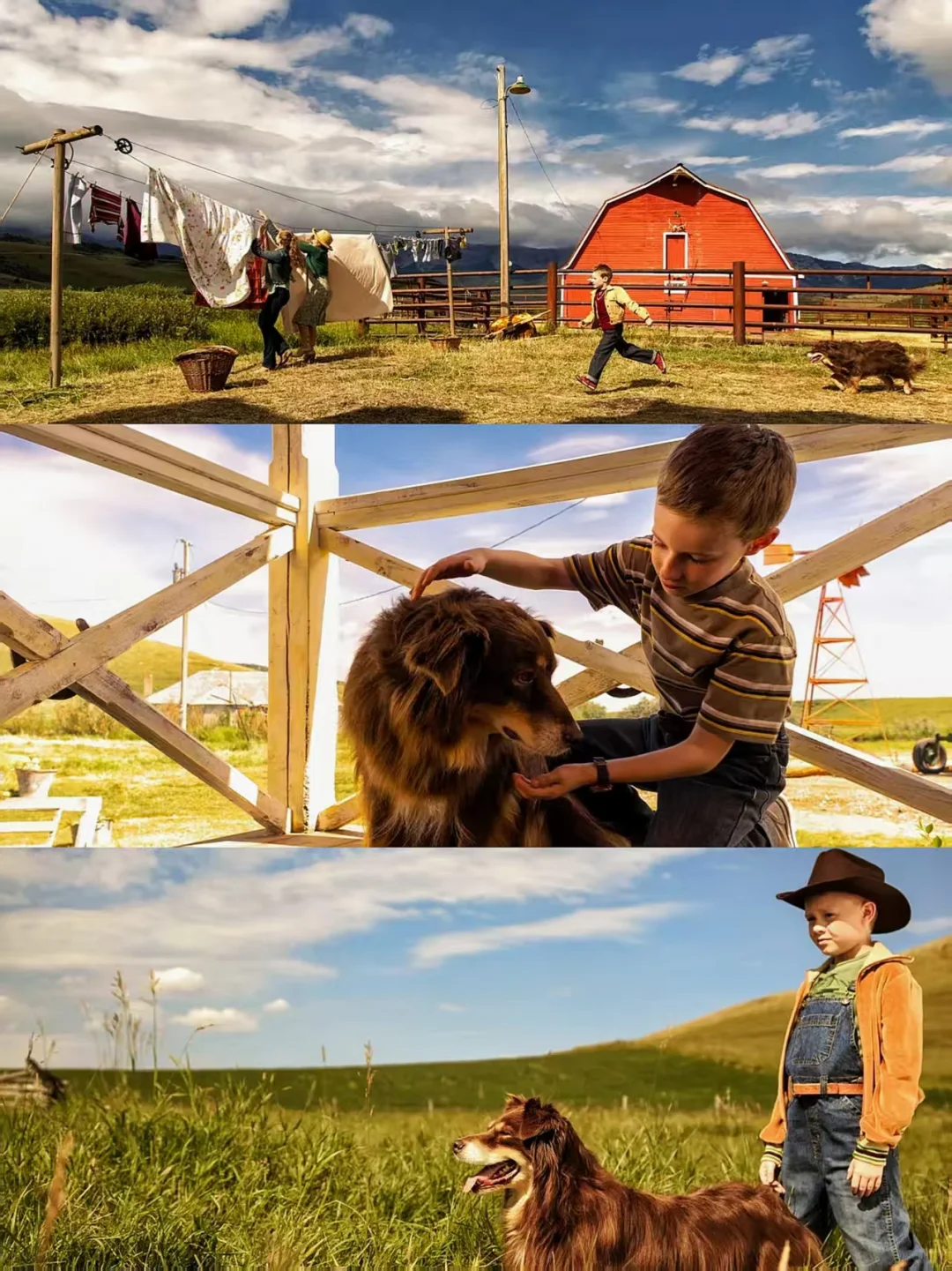 近期爆火的电影❗️强烈推荐所有人去看❗