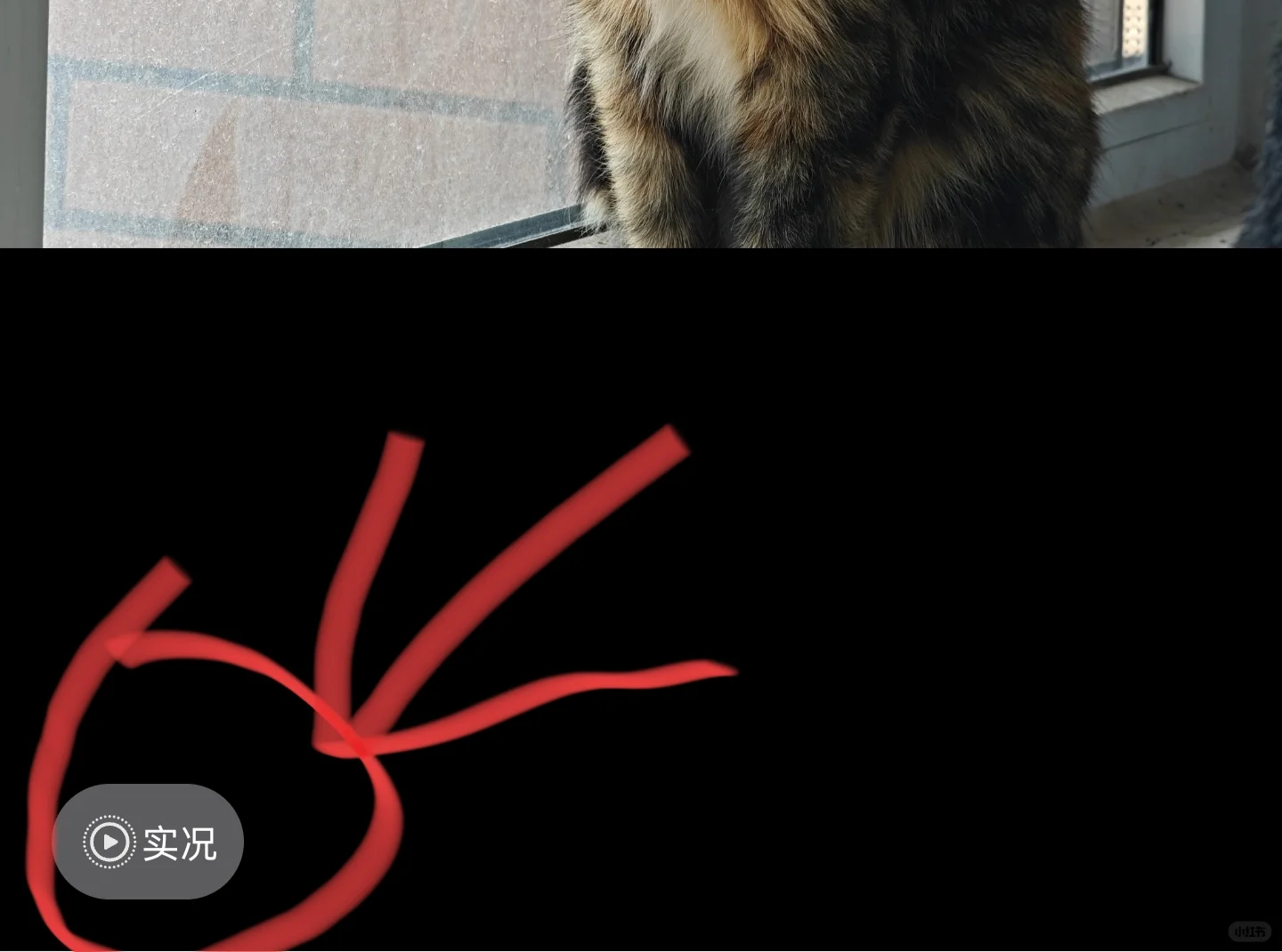 安卓微信实况来喽