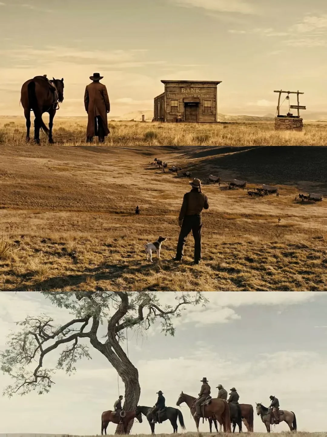 豆瓣首播9.6❗️安利所有人去看❗