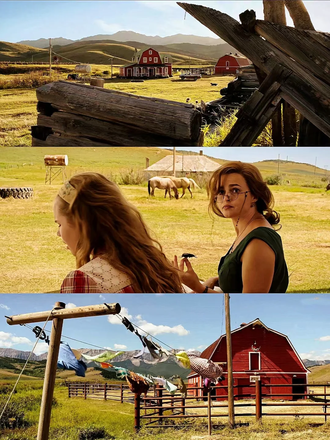 近期爆火的电影❗️强烈推荐所有人去看❗