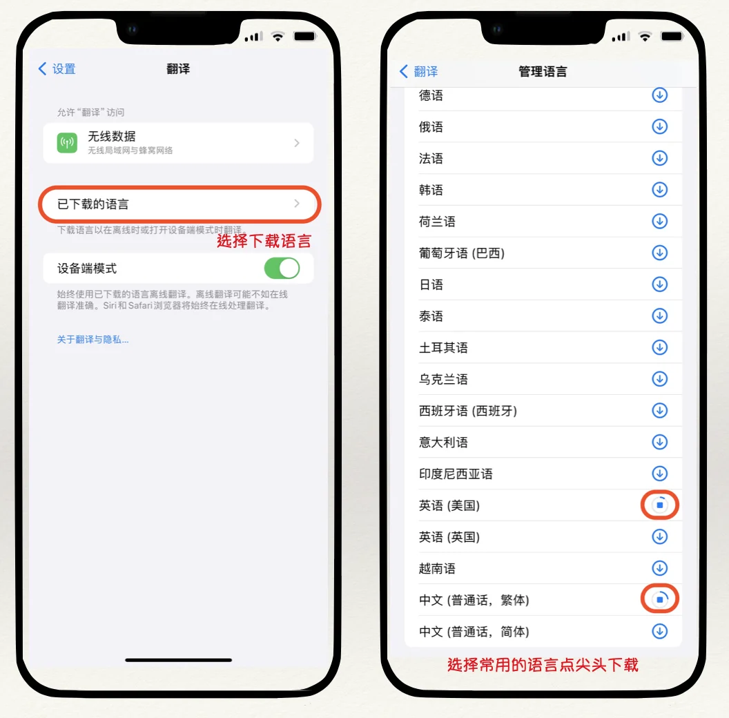 苹果自带翻译软件三大神操作！第二个超好用！