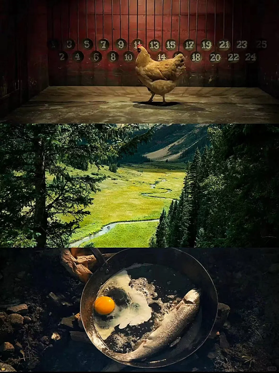 豆瓣首播9.6❗️安利所有人去看❗