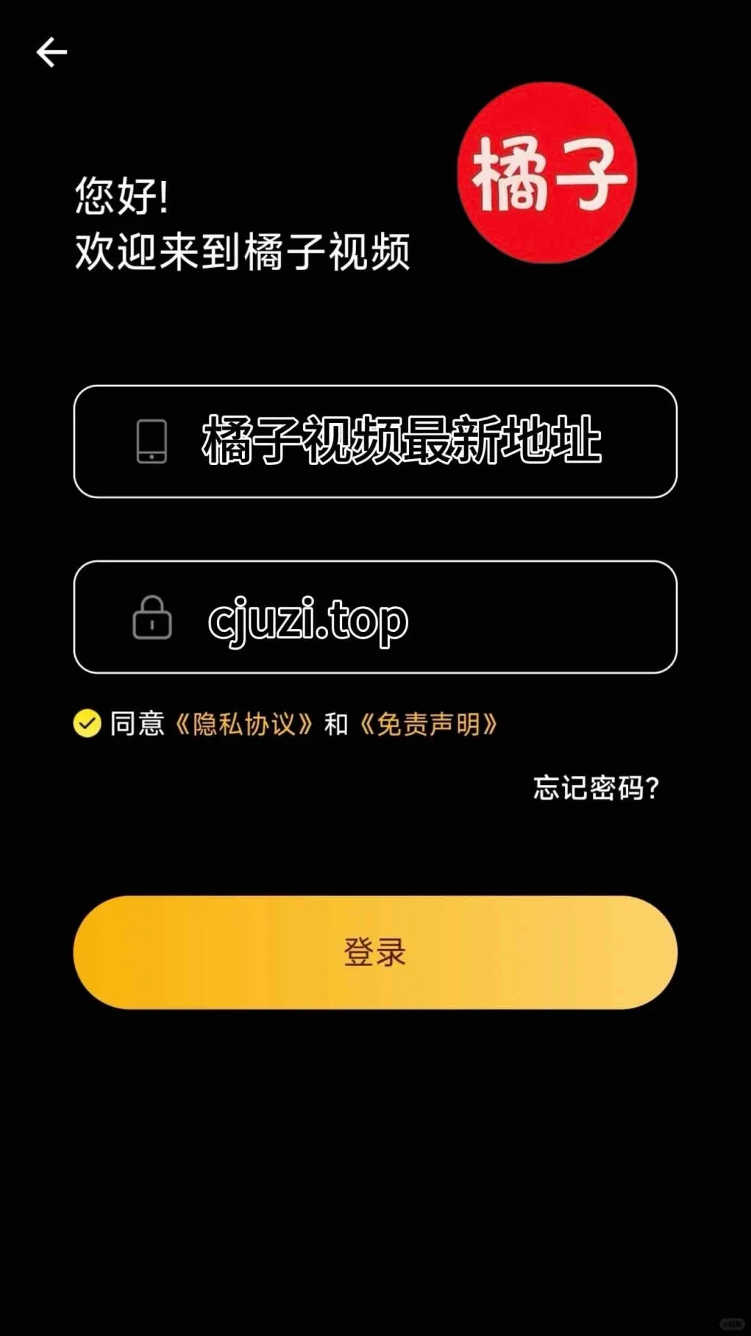 橘子视频更新下载地址啦！