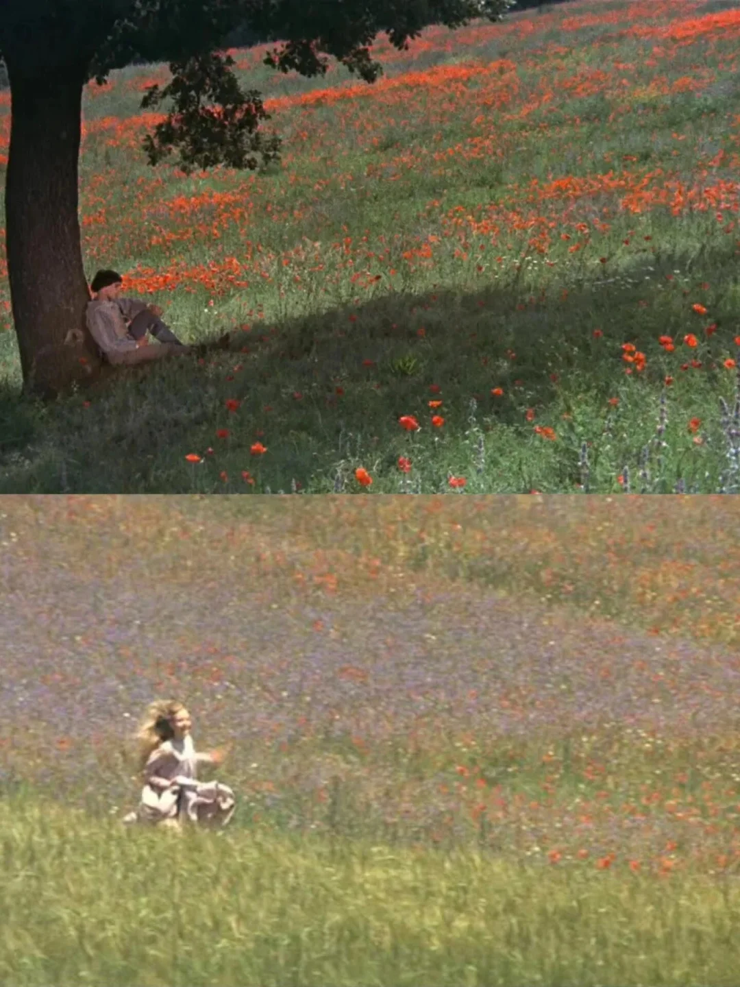 好好看完这部电影，我决定换一种活法