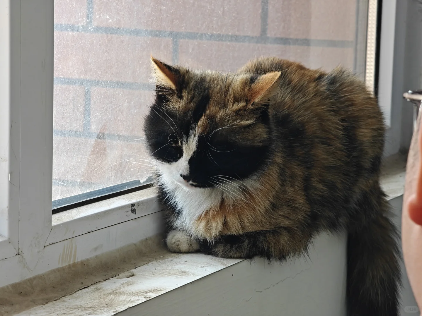 安卓微信实况来喽