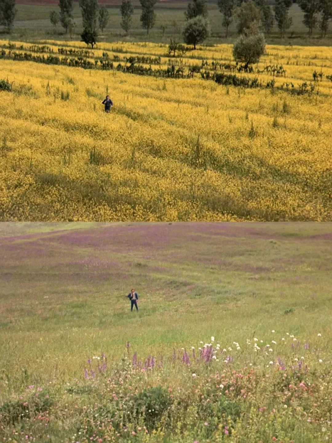 好好看完这部电影，我决定换一种活法