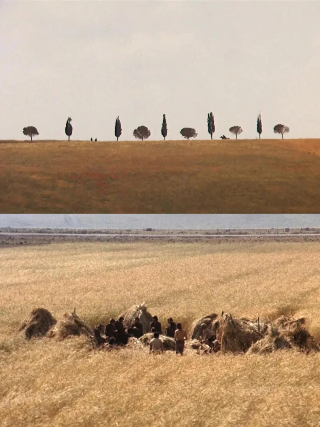 好好看完这部电影，我决定换一种活法