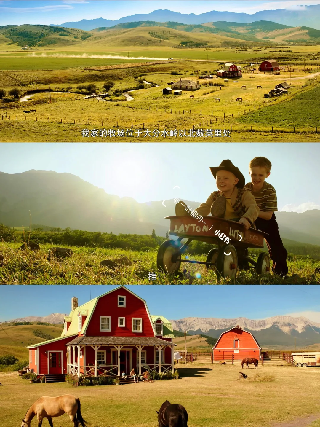 近期看过最好看的电影😭向全世界推荐！！！