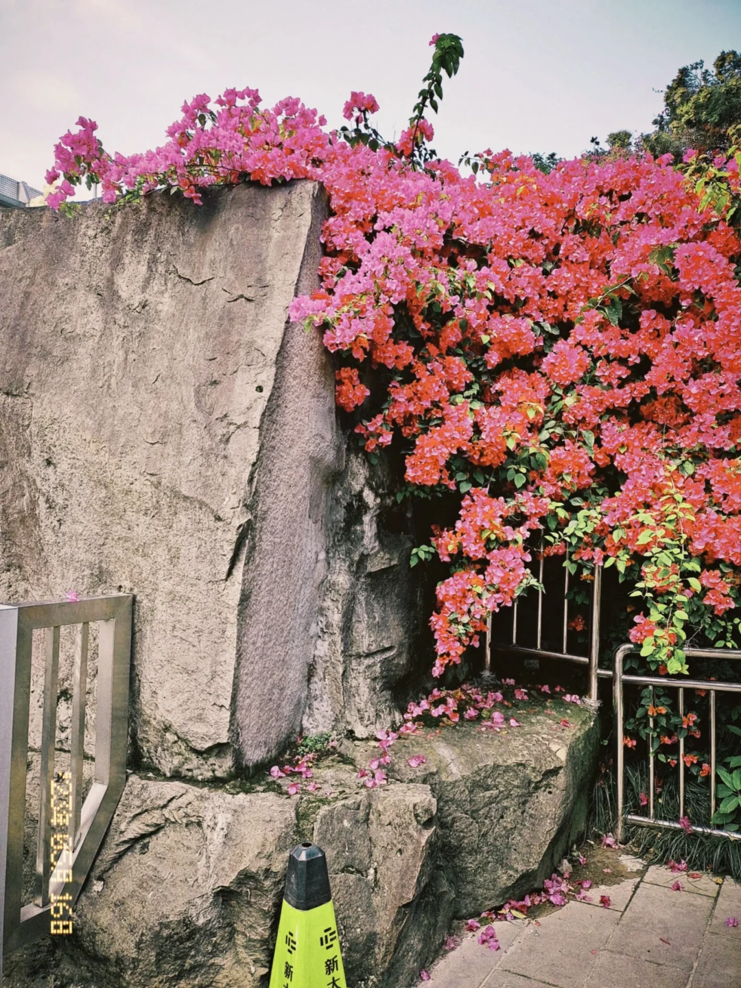 安卓用也好看的胶片相机APP！！！